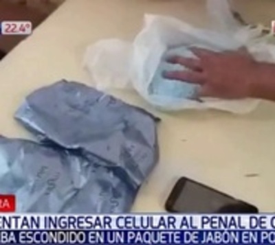 Pretendían ingresar un celular a través de jabón en polvo - Paraguay.com