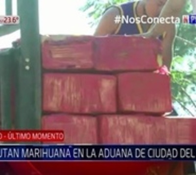 Incautan cerca de cinco toneladas de marihuana en CDE  - Paraguay.com