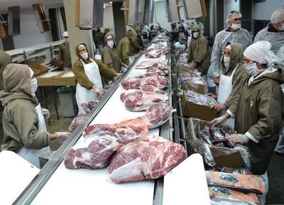 Acuerdo UE-Mercosur: potencial con duras contrapartidas