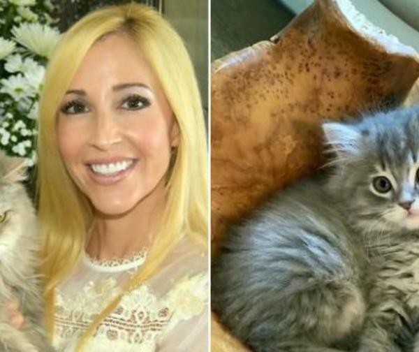 Una pareja pagó 25.000 dólares para clonar a su gato
