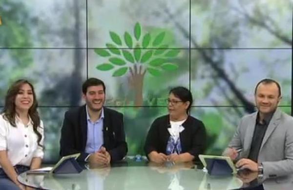 'Elegí Verde' busca plantar 55 mil árboles nativos - C9N