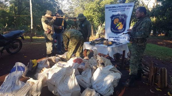 Detienen a una pareja con más de dos toneladas de marihuana en Amambay - Nacionales - ABC Color