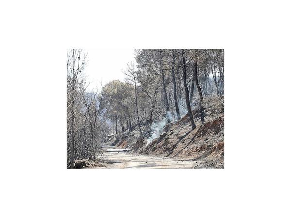 Una mortal ola de calor  golpea a Europa
