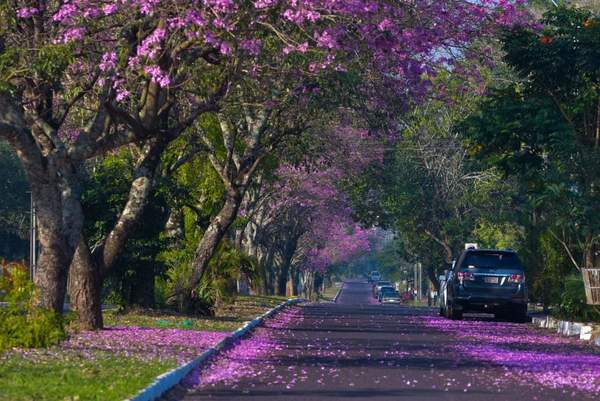 Invierno ofrece un sábado caluroso - Digital Misiones