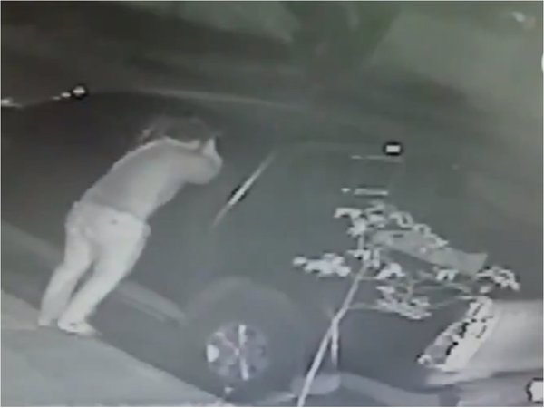 Denuncian hurto de vehículo y sospechan de conocido tortolero