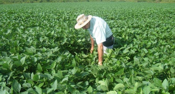 HOY / Crédito Agrícola: el 95 % paga sus deudas, pese a desaceleración económica