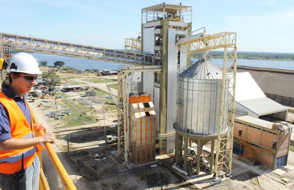 Cambios de reglas amenazan al sector de la industria sojera