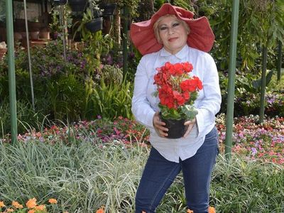 Luto en el reino de las plantas: falleció la Rubia   - Nacionales - ABC Color