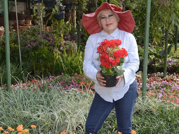 Luto en el reino de las plantas: falleció la Rubia   - Nacionales - ABC Color