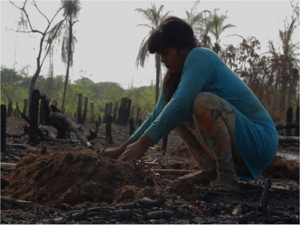 Ciclo de cine indígena exhibe esta noche tres documentales