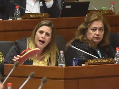 Diputada solicita tratar pedido de pérdida de investidura en su contra