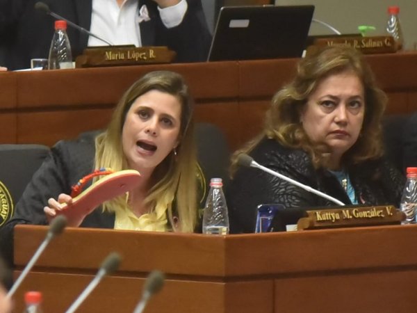 Diputada solicita tratar pedido de pérdida de investidura en su contra