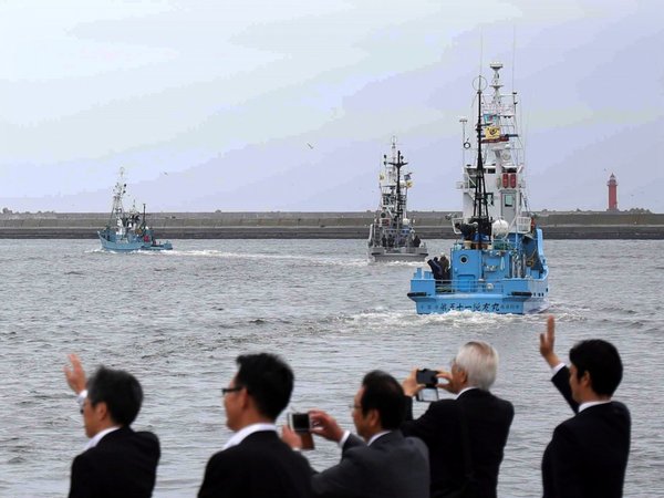 Japón reanuda su controvertida caza comercial de ballenas