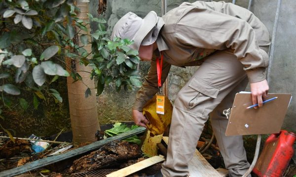 “Pará-na los criaderos”: trabajos de rastrillaje y fumigación previstos para hoy lunes