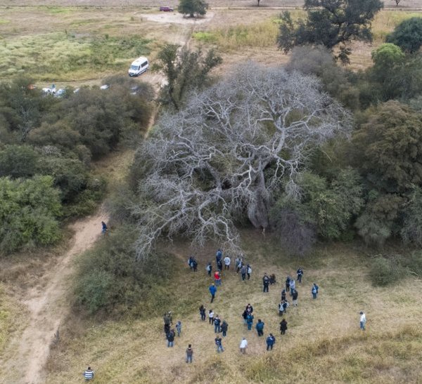 Colosos de la Tierra tendrá conectividad móvil en toda la expedición » Ñanduti