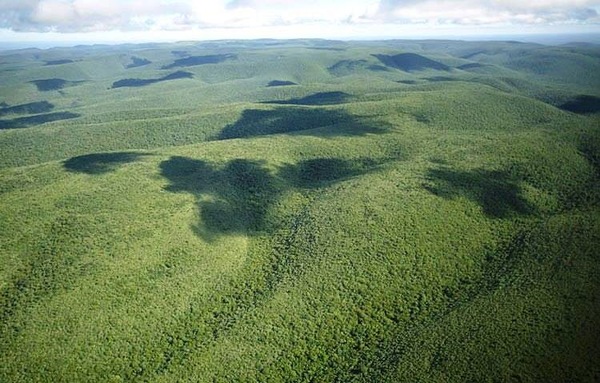 MADES sigue analizando la elaboración del Código Ambiental Paraguayo