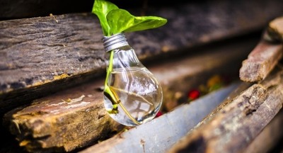 WWF firma convenio con la empresa Yaguareté Reciclaje » Ñanduti