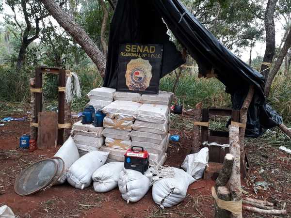 SENAD desarticula campamento en Amambay y encuentran más de 2 toneladas de marihuana - .::RADIO NACIONAL::.