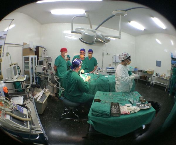 Ofrecen cirugías reconstructivas gratuitas en Concepción | .::Agencia IP::.