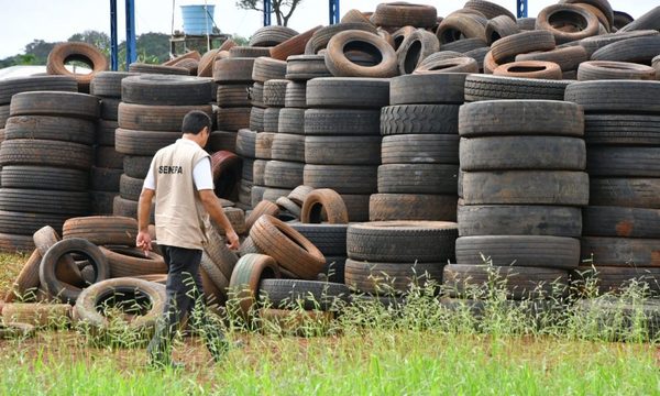 “PARÁ-NA LOS CRIADEROS”: TRABAJOS DE RASTRILLAJE Y FUMIGACIÓN