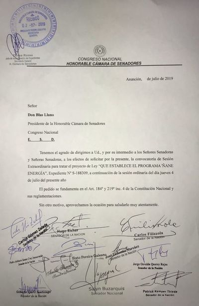 Piden sesión extra  en el Senado para tratar el proyecto de ley “Ñane energía” - Nacionales - ABC Color
