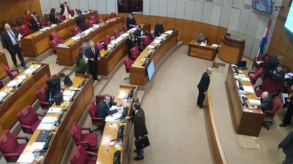 Senado deja sin quórum estudio de Ñane Energía - Nacionales - ABC Color