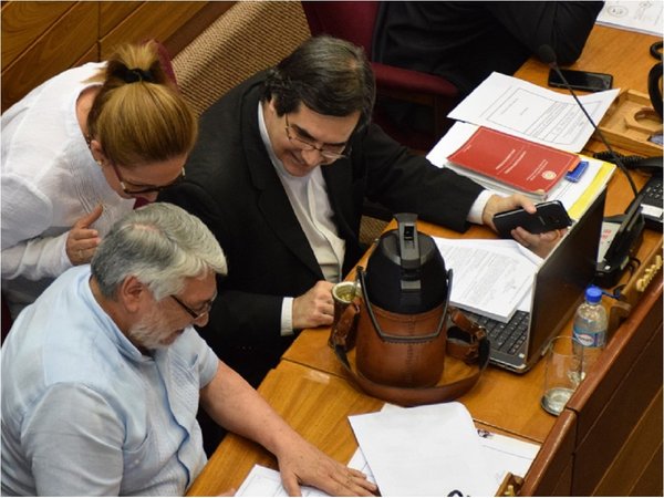 Piden sesión extraordinaria para tratar proyecto Ñane Energía