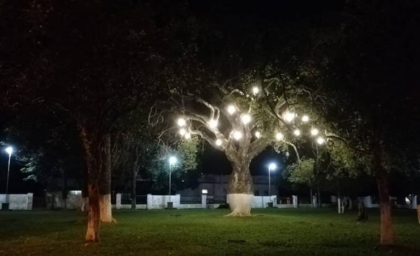 HOY / Eligen al nuevo 'árbol de la gente': un samu'u de Nueva Londres