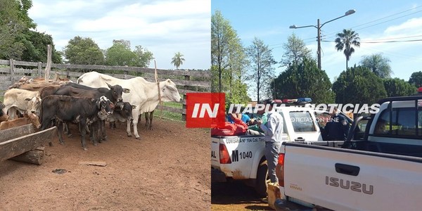 PLANIFICAN PRESENCIA DE EXPERTOS ANTIABIGEATO EN ITAPÚA.