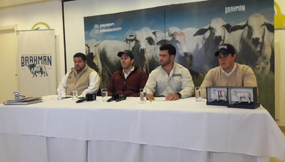 Brahman exhibirá ejemplares de élite en la Expo (subió 20% la cantidad de animales inscriptos)