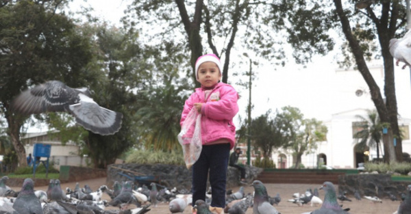 LA ¡DOMA PALOMAS!