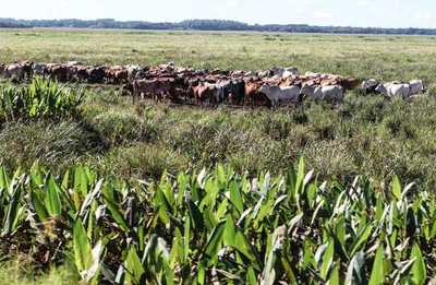 Empresaria destaca labor del Gobierno para dar seguridad en el campo | .::Agencia IP::.