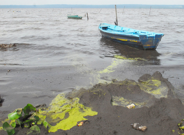 Excrementos, derrames químicos, cero tratamiento, Paraguay contamina rápidamente preciada joya: su agua dulce - ADN Paraguayo