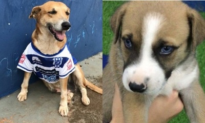La nueva mascota del club 2 de mayo: “Tesapara’i”