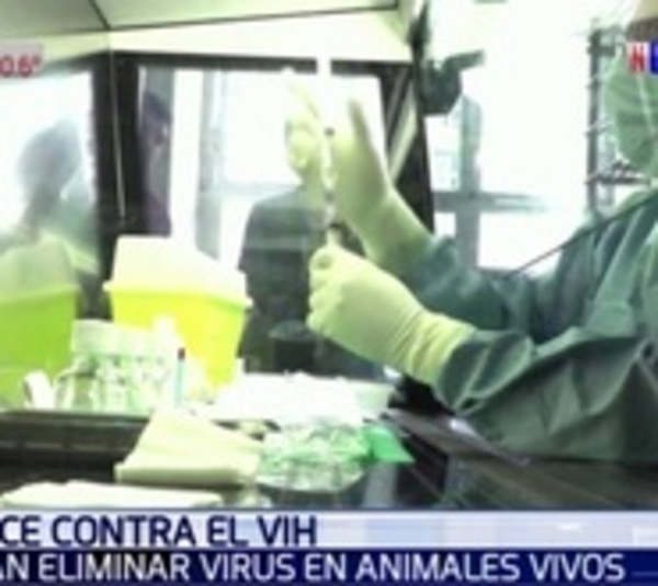 Descubren la forma de eliminar el VIH en un ser vivo - Paraguay.com