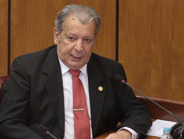 "El proyecto Ñane Energía es inviable, tratan de crear problemas al Gobierno" » Ñanduti