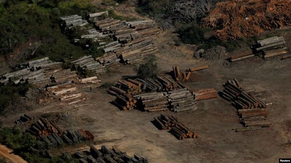 Deforestación en Brasil aumenta en más de 88% bajo el gobierno de Bolsonaro » Ñanduti