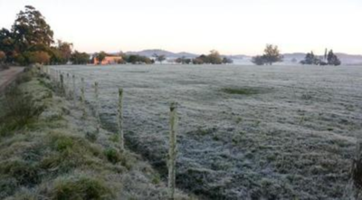 El frío amenaza al campo - Radio 1000 AM
