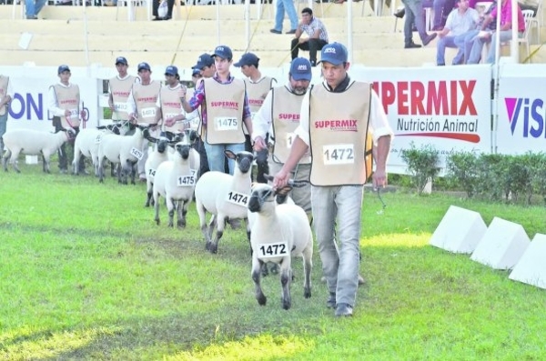 En Mariano Roque Alonso la inscripción de ovinos creció un 20% frente al año pasado