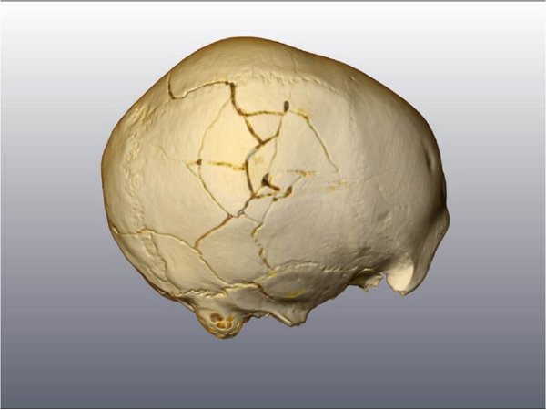 Confirman la muerte violenta de un hombre de hace 33.000 años