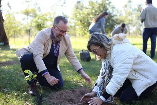 Campaña Elegí Verde: plantan 60.000 árboles tras masivo apoyo de la ciudadanía » Ñanduti