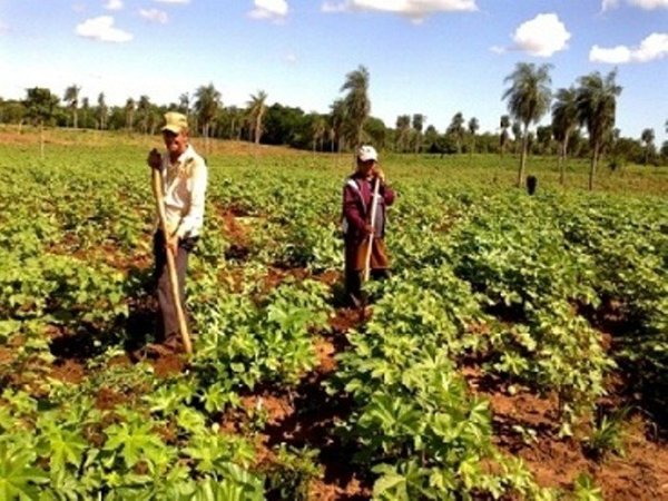 CAH impulsa reestructuración de deudas al sector campesino - .::RADIO NACIONAL::.