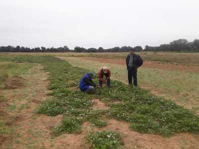Presencia del MAG contribuye al desarrollo rural de Boquerón