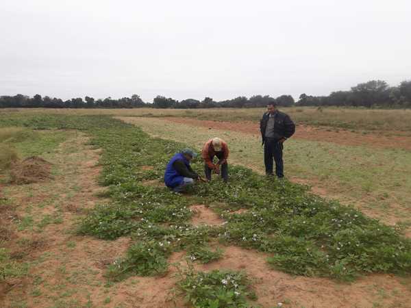 Presencia del MAG contribuye al desarrollo rural de Boquerón
