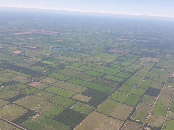 Senado rechaza proyecto de ley de deforestación cero
