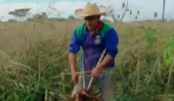 Rojas contó cómo trabaja en la chacra
