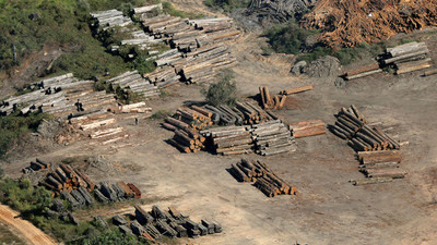 Deforestación en Amazonía brasileña llega al 88% - ADN Paraguayo