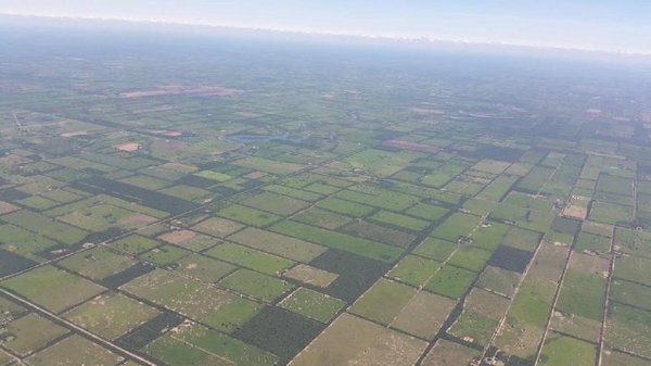 Senado rechaza proyecto de ley de deforestación cero