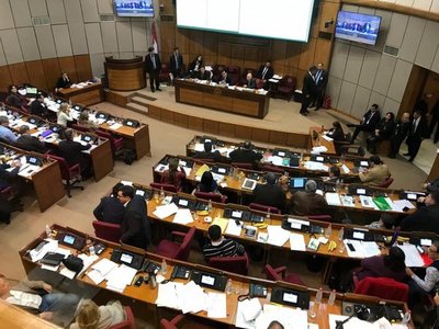 Senado aprueba versión de Diputados del proyecto Ñane Energía