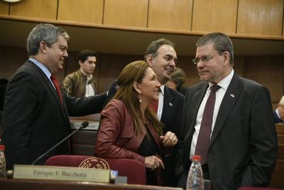 Senado sancionó “Ñane Energía”